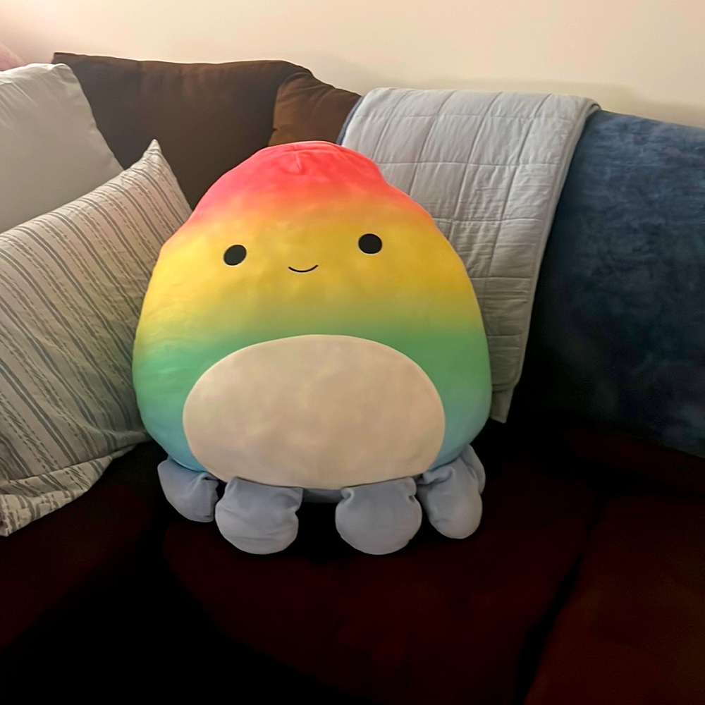 24 inch squish-mellow octopus! Excellent condition. His name is Elodie.